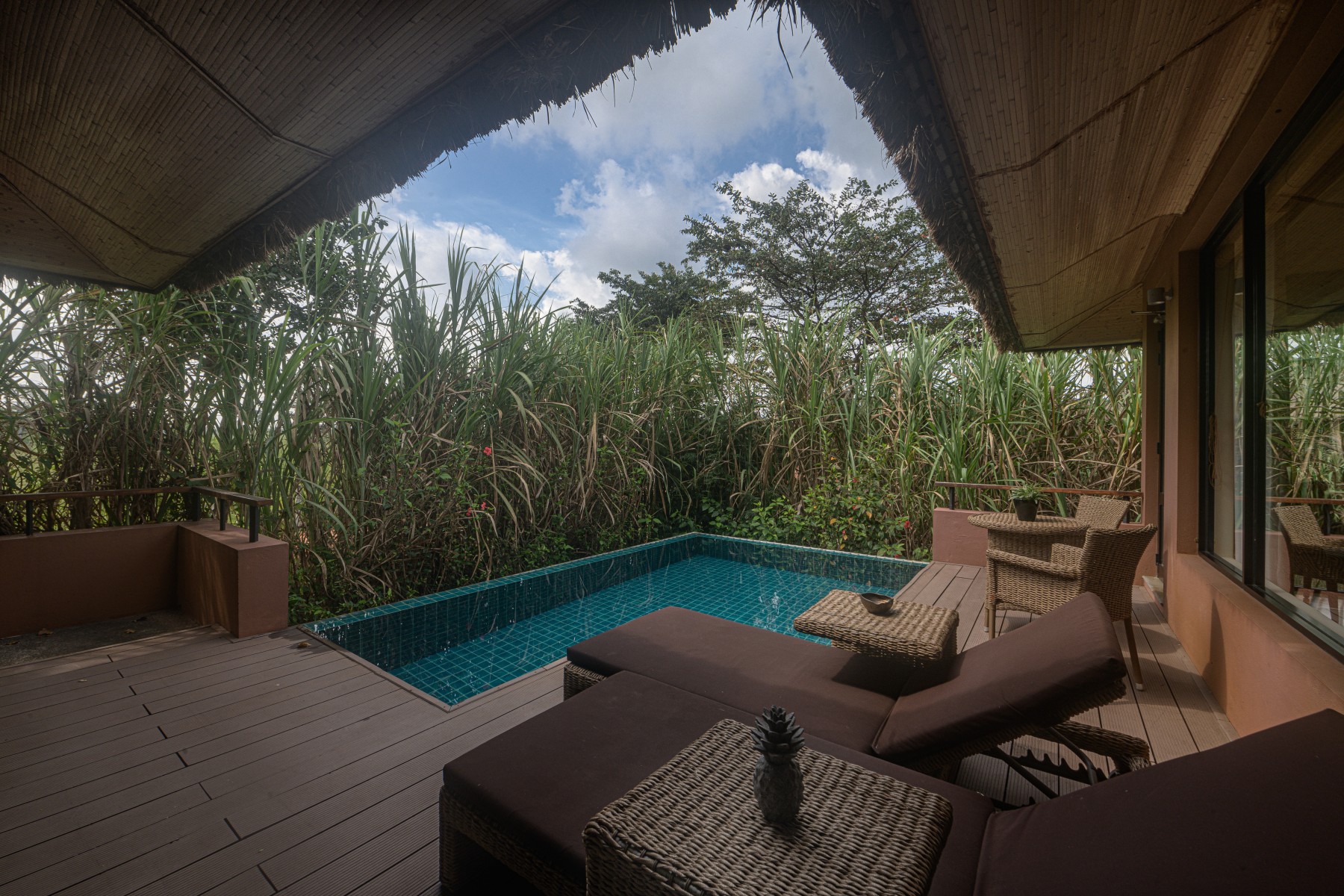 Superior Deluxe Villa with Plunge Pool